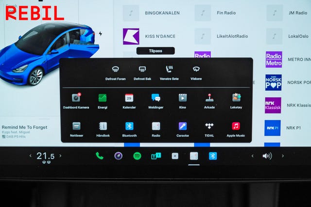 2021 TESLA MODEL 3 - 20