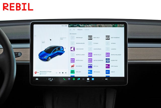 2021 TESLA MODEL 3 - 19