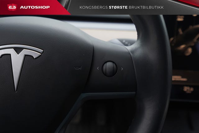 2019 TESLA MODEL 3 - 30