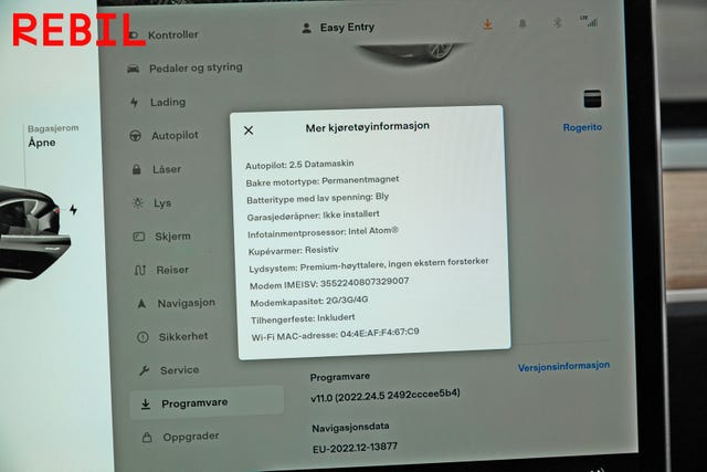 2019 TESLA MODEL 3 - 20