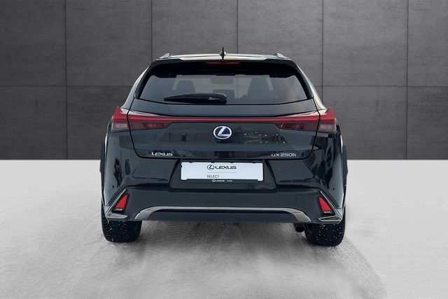 JTHU95BH502055599 2022 LEXUS UX-4