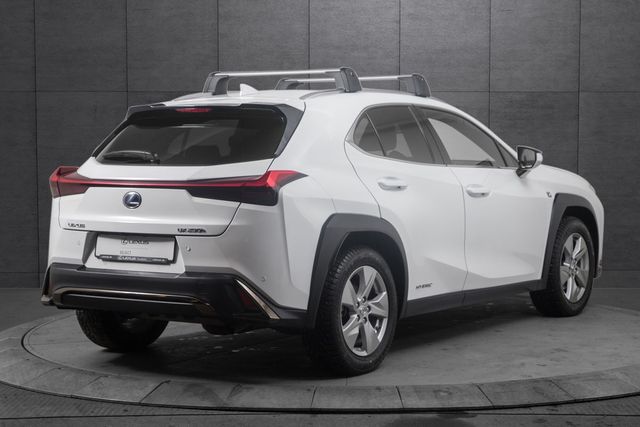 JTHU95BH602037600 2020 LEXUS UX-4