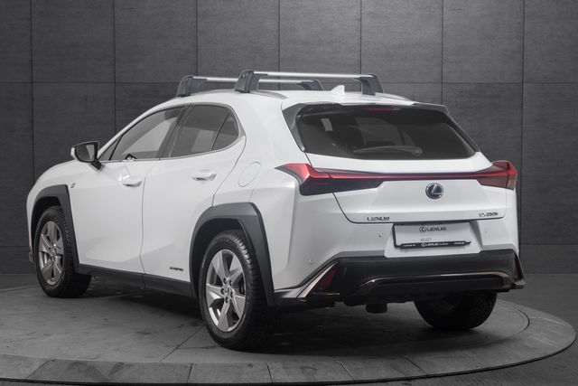 JTHU95BH602037600 2020 LEXUS UX-2