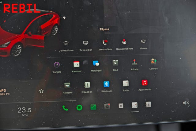 2021 TESLA MODEL 3 - 19