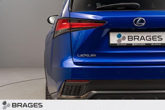 JTJBJRBZ702143695 2020 LEXUS NX 300H-5