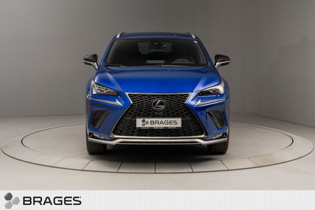 JTJBJRBZ702143695 2020 LEXUS NX 300H-4