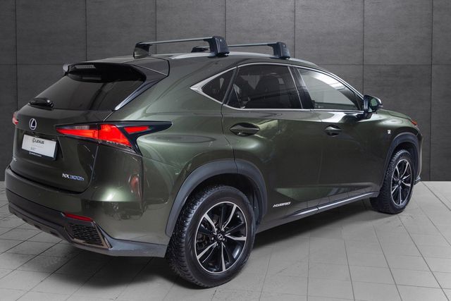 JTJBJRBZ502146840 2021 LEXUS NX 300H-4