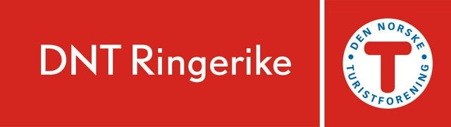 DNT RINGERIKE logo