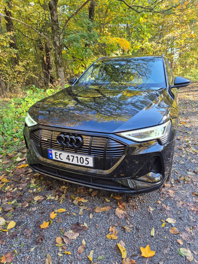 2021 AUDI E-TRON - 7