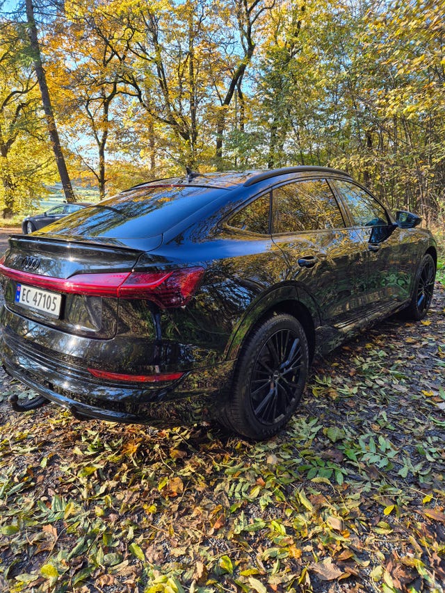 2021 AUDI E-TRON - 16