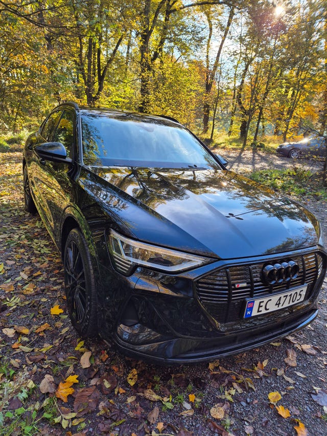 2021 AUDI E-TRON - 15