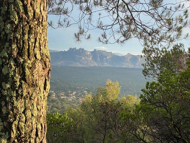 Utsikt mot Rocher de Roquebrune, et steinkast fra huset Galleribilde
