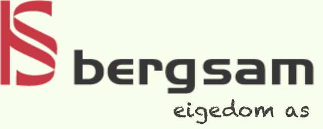 Bergsam Eigedom as