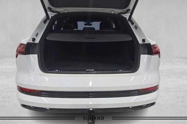 2020 AUDI E-TRON - 18