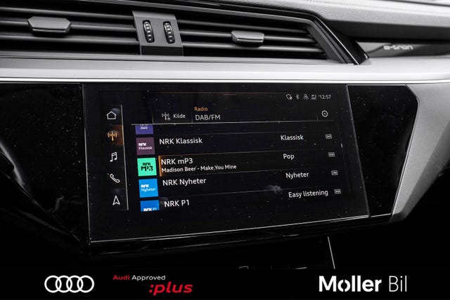 2021 AUDI E-TRON - 18