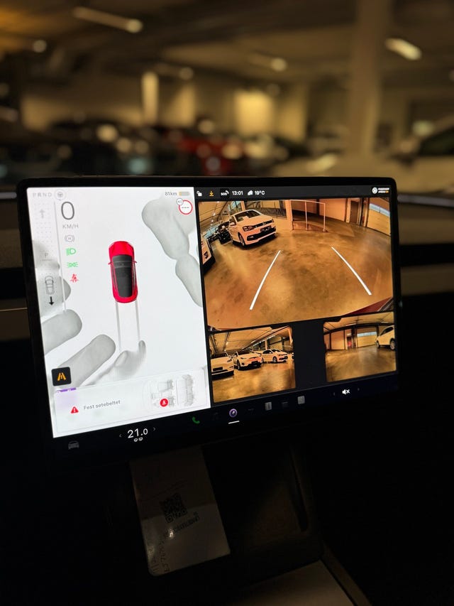 2025 TESLA MODEL 3 - 24