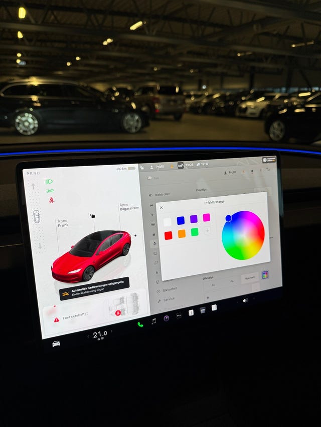 2025 TESLA MODEL 3 - 29