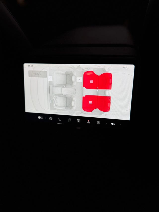 2025 TESLA MODEL 3 - 20