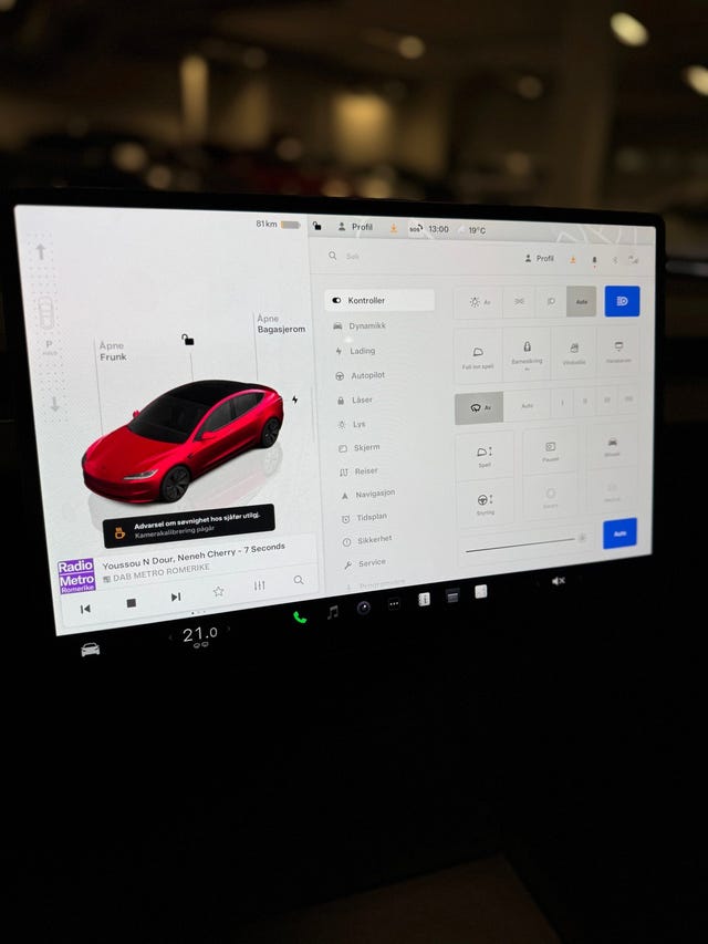 2025 TESLA MODEL 3 - 23