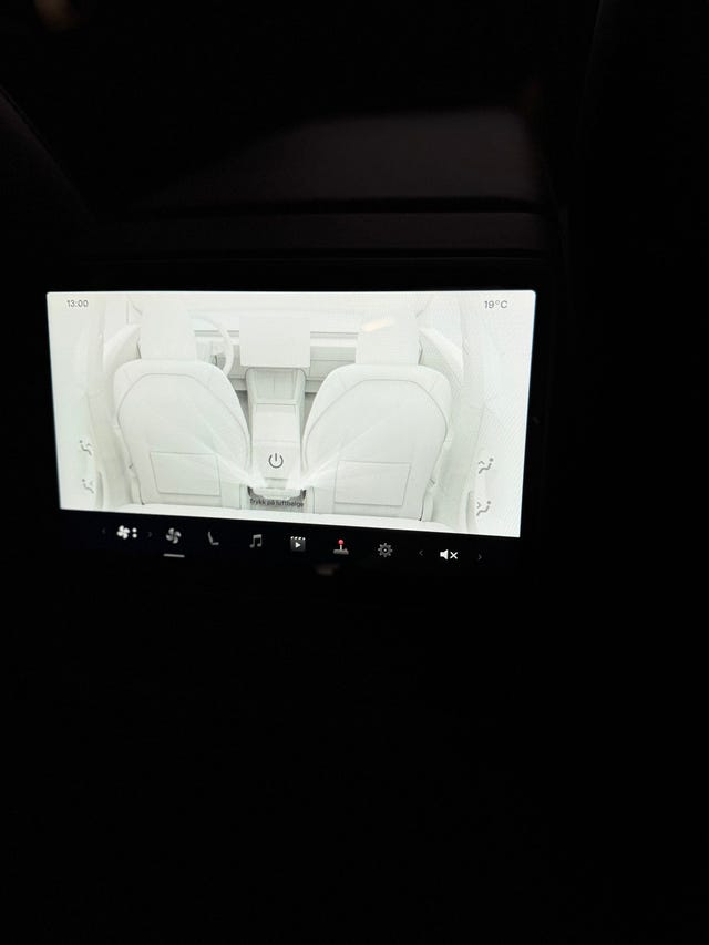 2025 TESLA MODEL 3 - 19