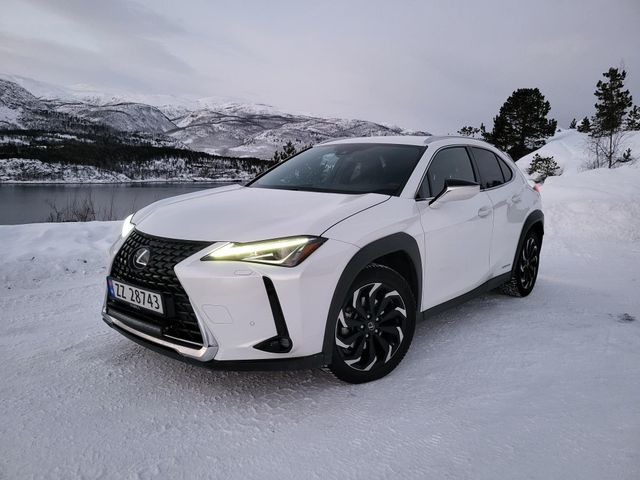 2019 LEXUS UX - 2