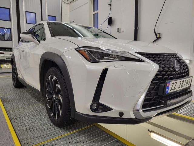 JTHU95BH602006069 2019 LEXUS UX-4