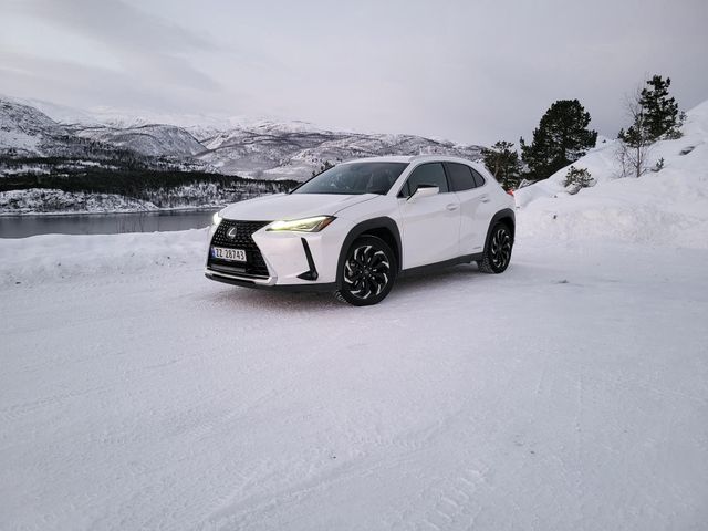 2019 LEXUS UX - 1