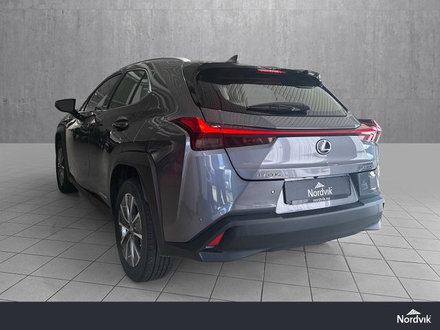 2022 LEXUS UX - 5