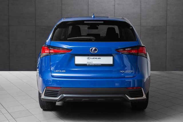 JTJBJRBZ902147196 2020 LEXUS NX 300H-3