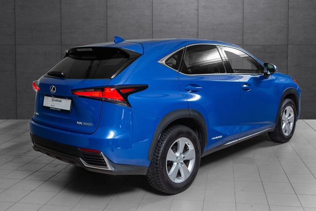 JTJBJRBZ902147196 2020 LEXUS NX 300H-4