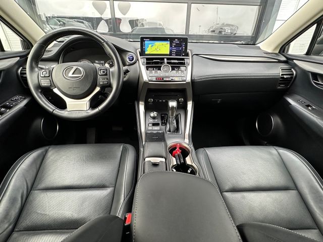 JTJBJRBZ505002221 2020 LEXUS NX 300H-4