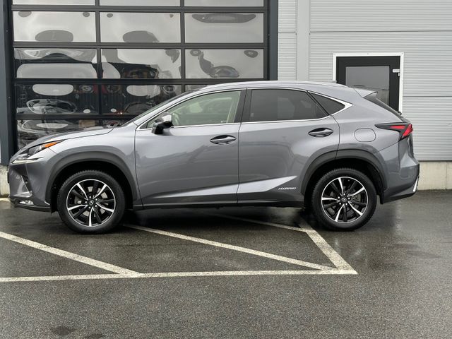 JTJBJRBZ505002221 2020 LEXUS NX 300H-1