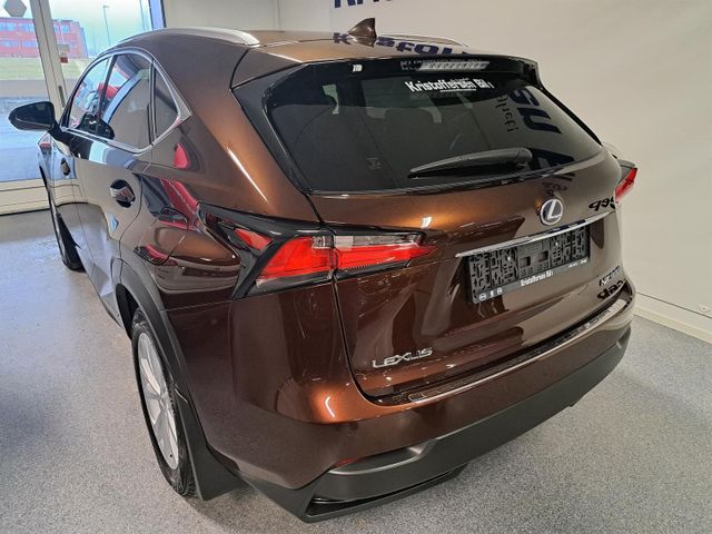 JTJBJRBZ702048506 2016 LEXUS NX 300H-3