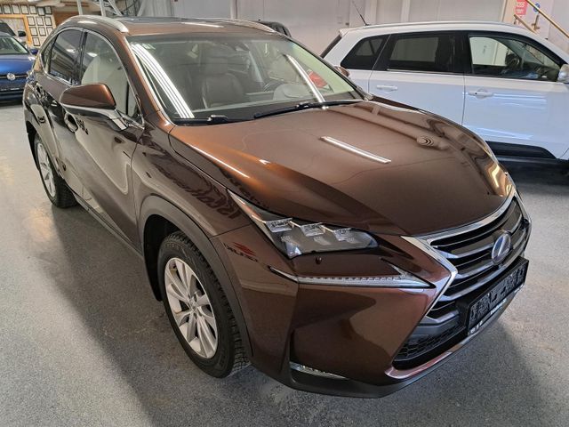 JTJBJRBZ702048506 2016 LEXUS NX 300H-1