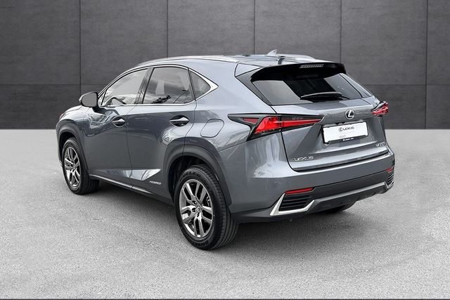 JTJBJRBZ502168711 2021 LEXUS NX 300H-3