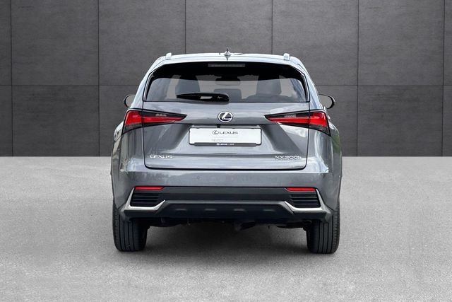 JTJBJRBZ502168711 2021 LEXUS NX 300H-4