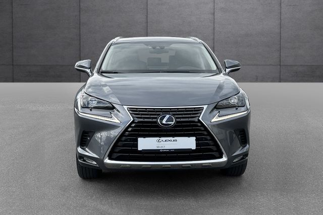 JTJBJRBZ502168711 2021 LEXUS NX 300H-1