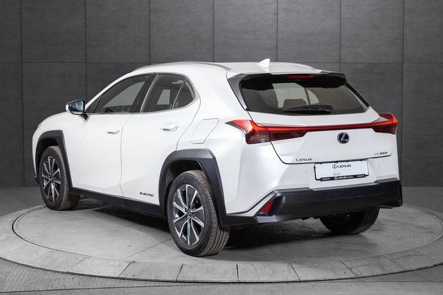 2020 LEXUS UX - 3