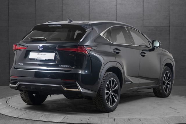 JTJBJRBZX05012100 2021 LEXUS NX 300H-2