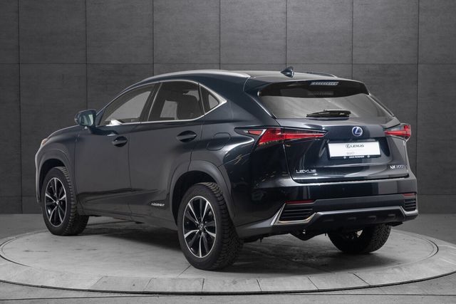 JTJBJRBZX05012100 2021 LEXUS NX 300H-3