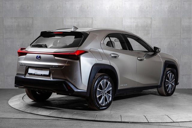 JTHAABBH602001575 2020 LEXUS UX-4