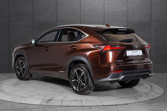 JTJBJRBZ402137501 2020 LEXUS NX 300H-2