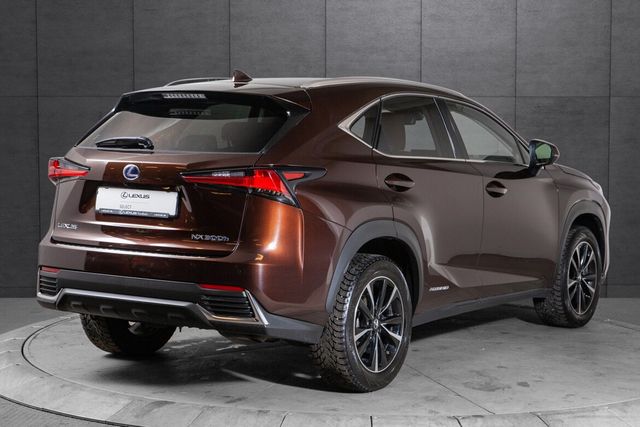 JTJBJRBZ402137501 2020 LEXUS NX 300H-4