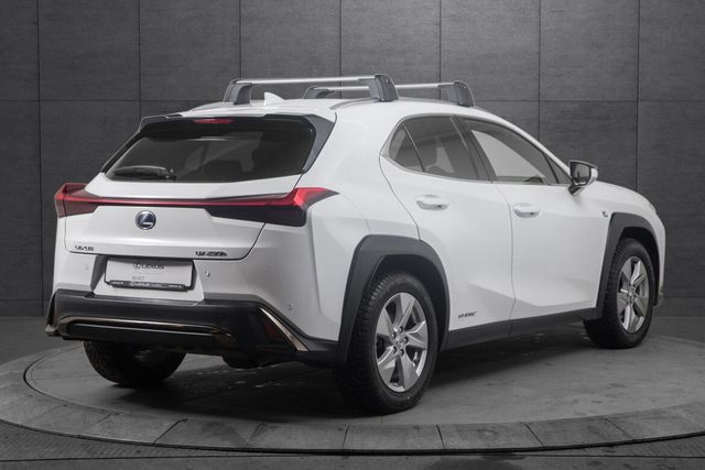 2020 LEXUS UX - 5