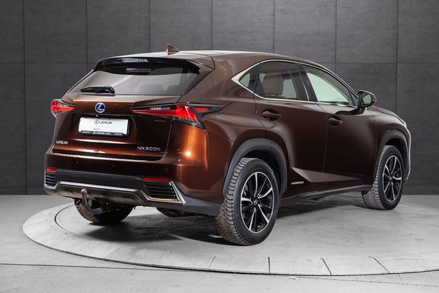 JTJBJRBZ702121583 2019 LEXUS NX 300H-4