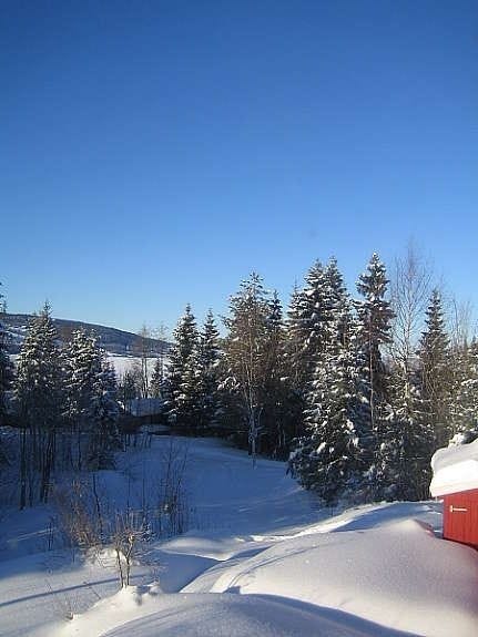 Vinterutsikt mot Einafjorden Galleribilde