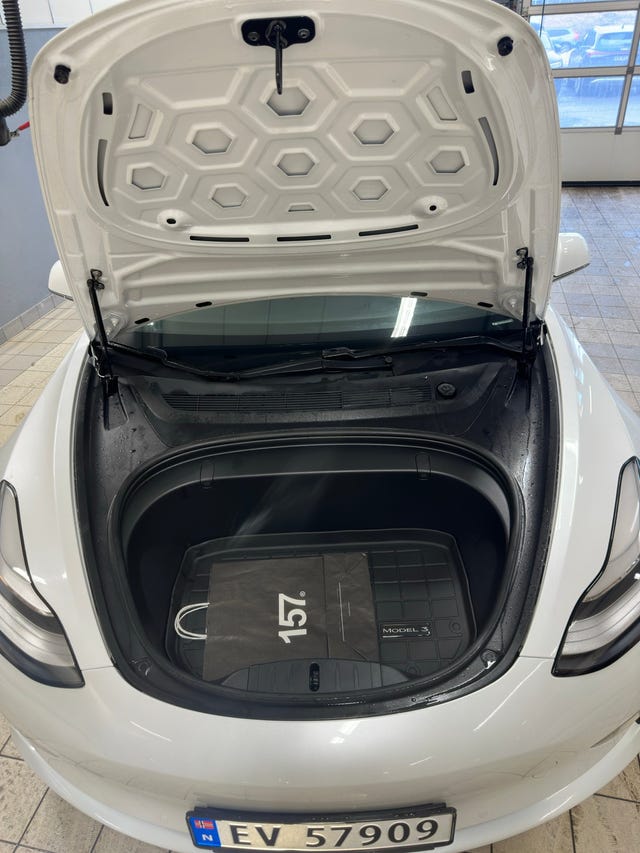 2019 TESLA MODEL 3 - 13