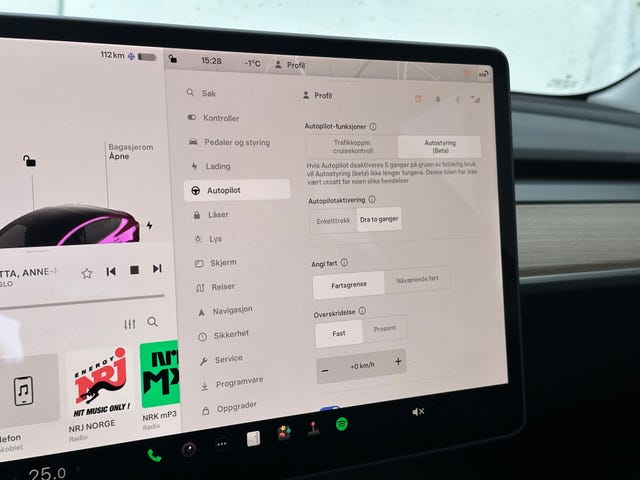 2021 TESLA MODEL 3 - 47