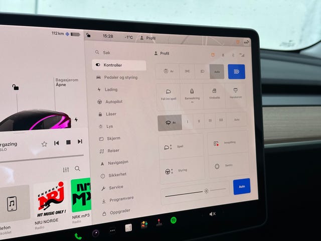 2021 TESLA MODEL 3 - 45