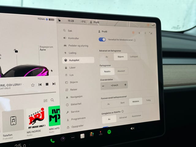 2021 TESLA MODEL 3 - 48